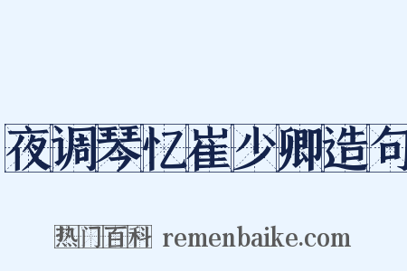 夜调琴忆崔少卿造句是什么意思的图片